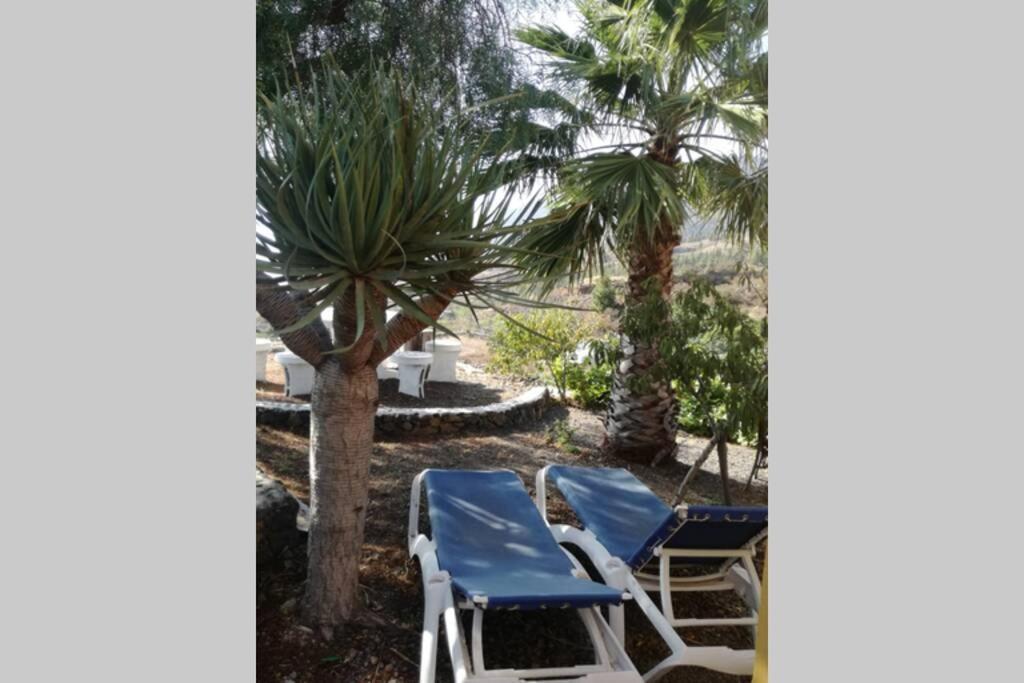 Casa Las Laderitas B El Paso Ngoại thất bức ảnh